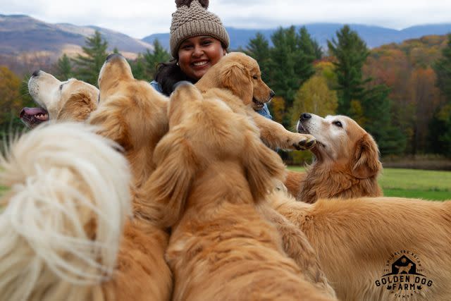 <p>Golden Dog Farm</p> A guest with a happy of goldens