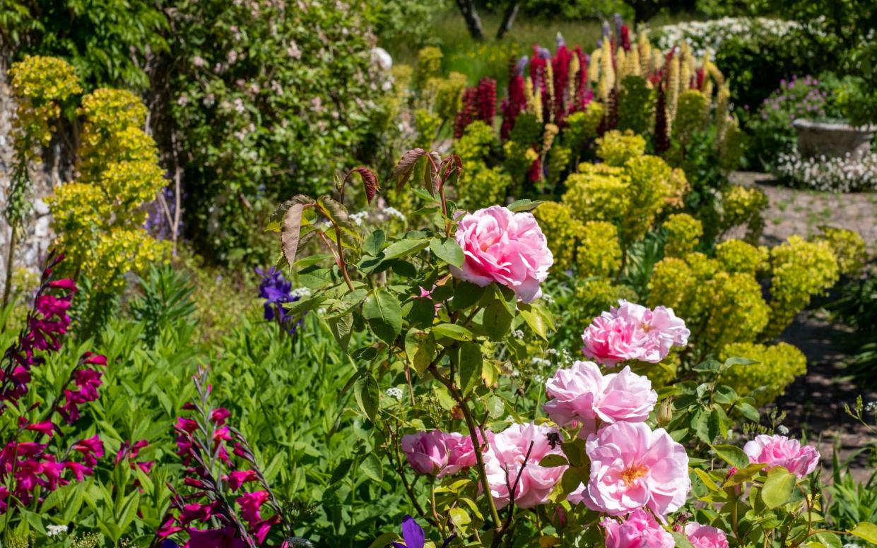 'All bright, cut from coloured papers': Flowers at Monk's House