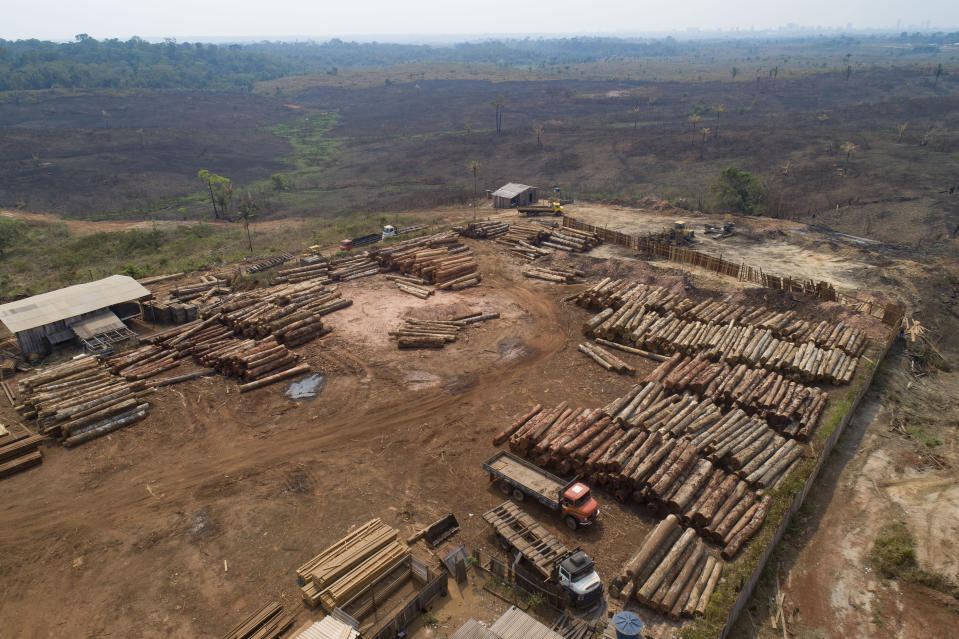 FILE - In this Sept. 2, 2019 file photo, logs lay at a lumber mill surrounded by recently charred and deforested fields near Porto Velho, Rondonia state, Brazil. While the vast Amazon rainforest acts as a bulwark against climate change because its lush vegetation absorbs heat-trapping carbon dioxide, experts say current fires are manmade, often set illegally by land grabbers who are clearing the forest for cattle ranching and crops. (AP Photo/Andre Penner, File)