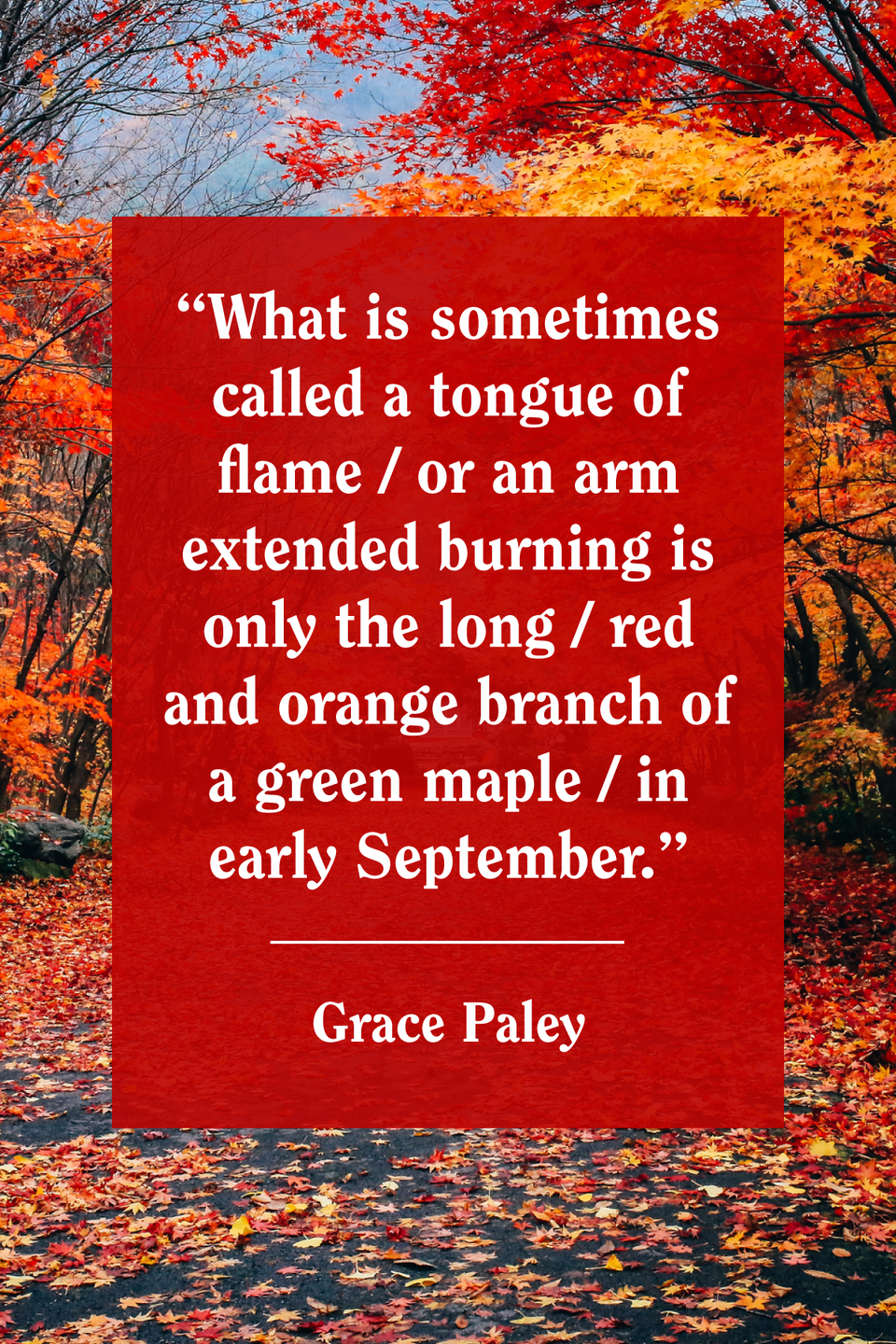 Grace Paley