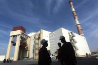 Iran insists the Bushehr reactor and its other nuclear facilities are purely for peaceful energy purposes