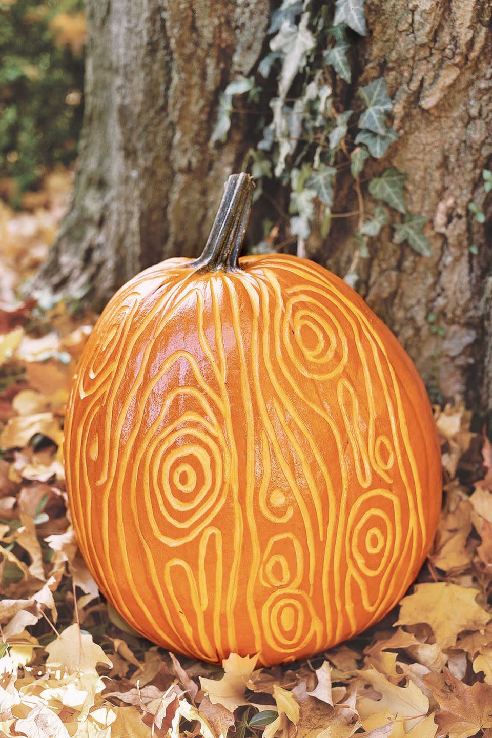 Oak Tree Swirl Pumpkin