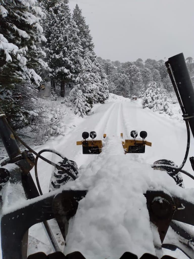 Intensas nevadas en Neuquén.