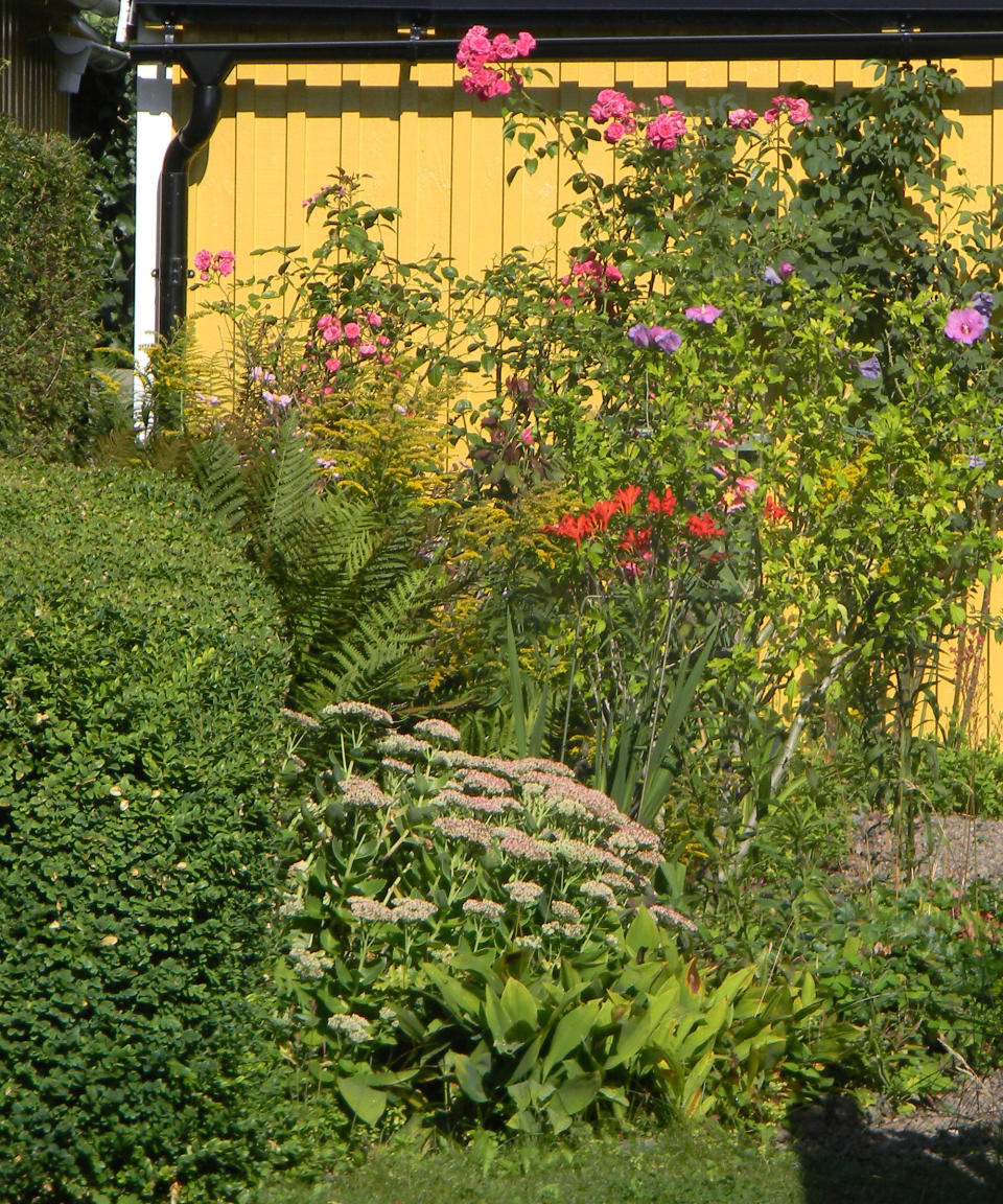 yellow shed with flowers growing up it