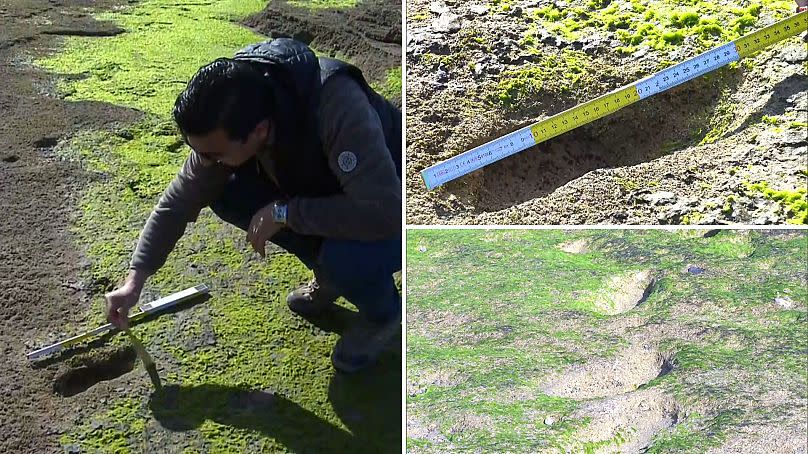 Varias imágenes que muestran las huellas registradas en el sitio arqueológico de Larache