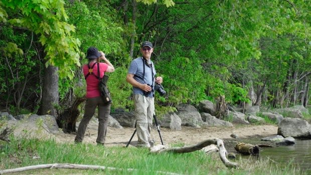 People bird watching at Parc Moussette in Gatineau, Que., during the COVID-19 pandemic. (Jonathan Dupaul/CBC - image credit)