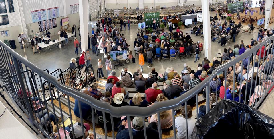 The swine and beef sales brought a large crowd of buyers to the Wayne County Fair