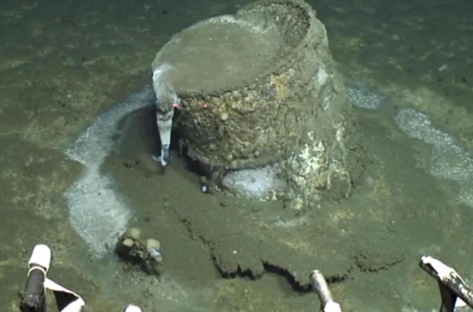 Barril con desechos tóxicos en el fondo del mar entre la península de Palos Verdes y la isla Santa Catalina en California.