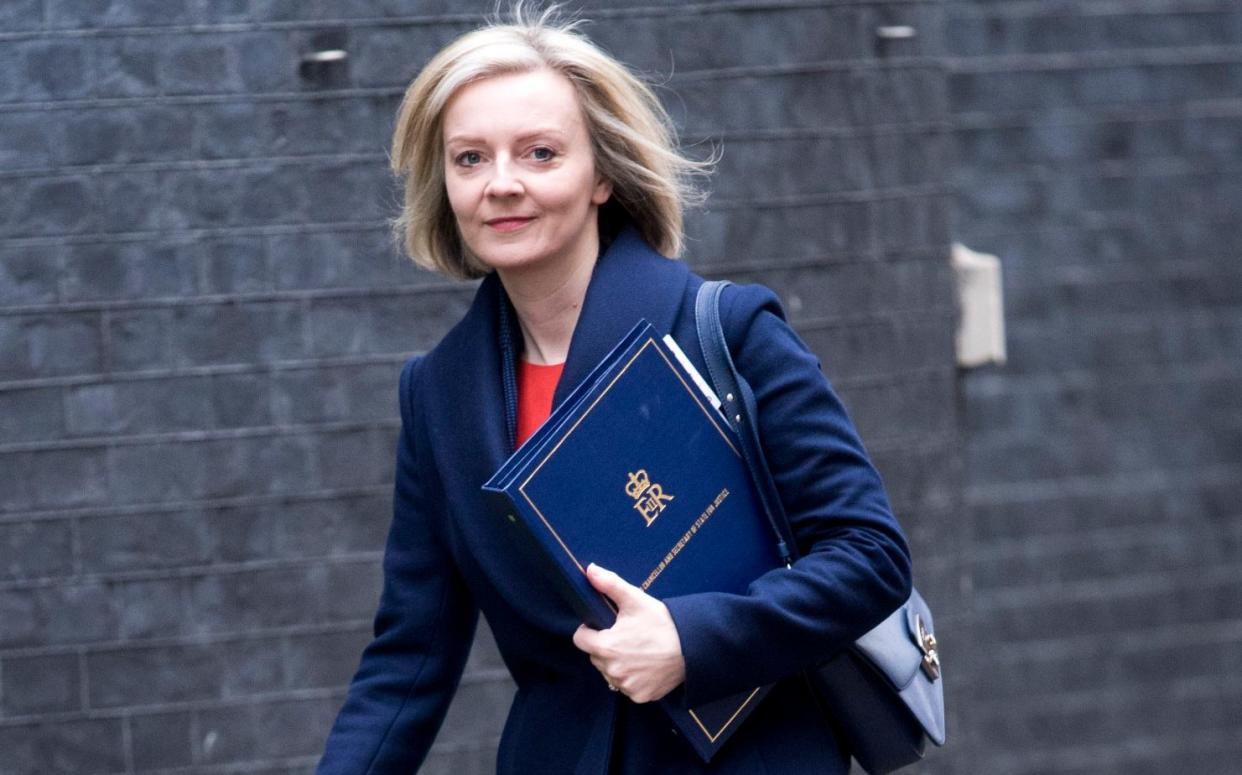 Liz Truss has clashed repeatedly with judges while Britain's prison crisis is also worsening - Paul Grover
