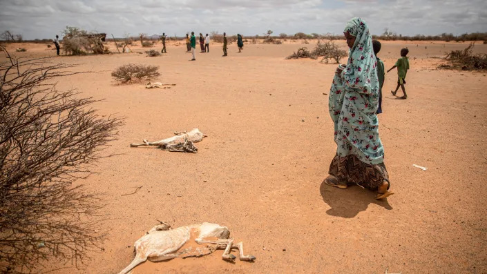 A child displaced by drought 