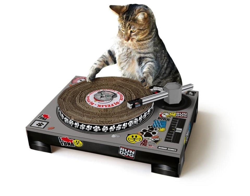 DJ cat scratching post