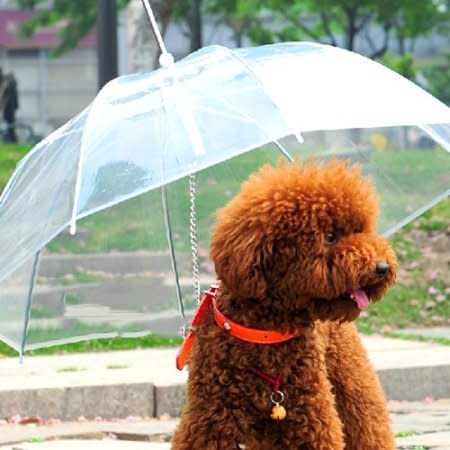 Items for Furry Buddies - Lesypet Dog Umbrella