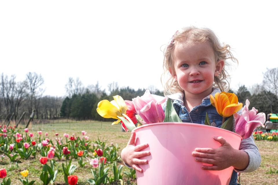 Nell Robison holds her bucket of tulips at the Liberty Grace Farm Tulip Festival.