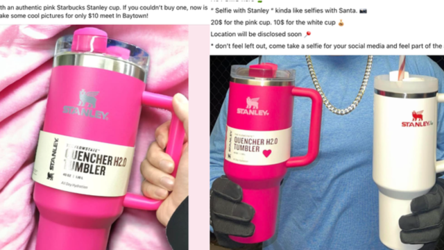 Stanley Owners Are Selling Photos Of Cups In 'Selfies With Stanley' Trend