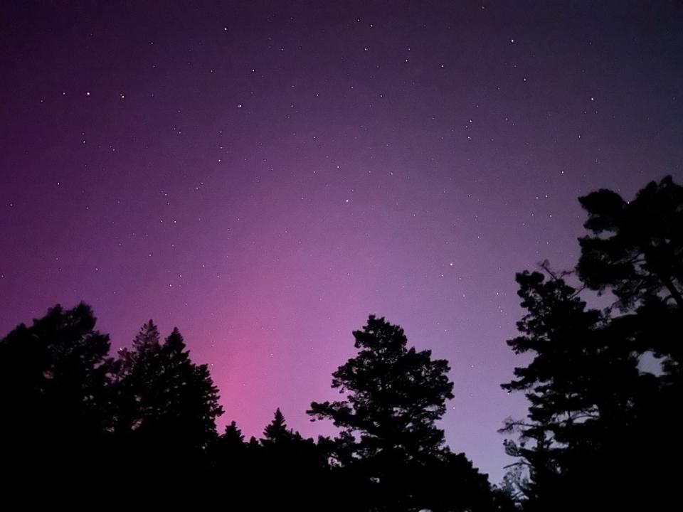 northern lights night sky with pink and purple glow above silhouette of treetops
