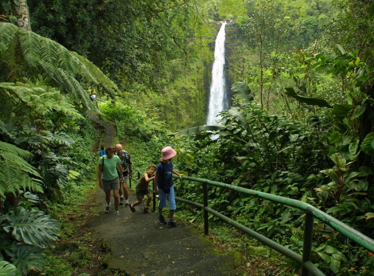 3/31/05: (travel file) -- Honomu, HI -- Visitors on a foot trail in Hawaii's Akaka Falls State Park. (Kevin Eans, USA TODAY) (Via MerlinFTP Drop)