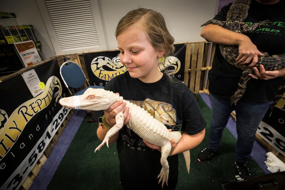 A girl holds Prada, an albino alligator, on display at Family Reptiles during the Repticon reptile show at the RP Funding Center in Lakeland in 2018.