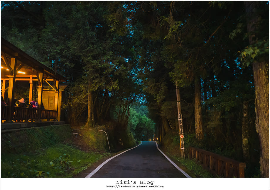 阿里山輕旅行