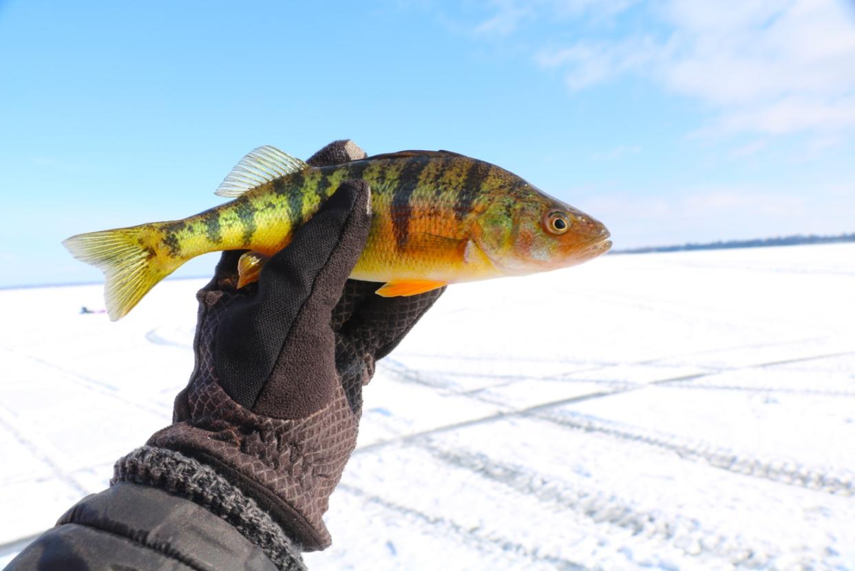 canada, ice fishing