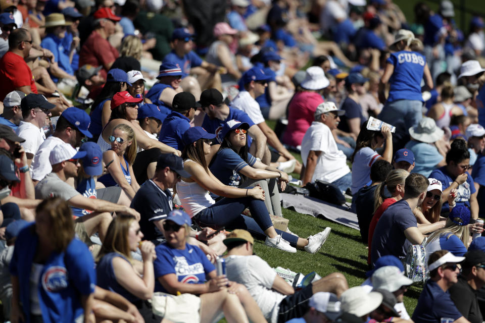 Fans watch from grass beyond the outfield as the Chicago Cubs play the Milwaukee Brewers in a spring training baseball game Saturday, Feb. 29, 2020, in Mesa, Ariz. (AP Photo/Gregory Bull)