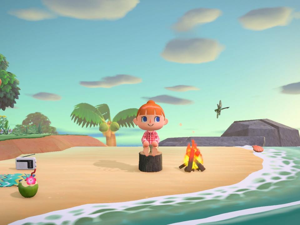 Animal Crossing New Horizons Character