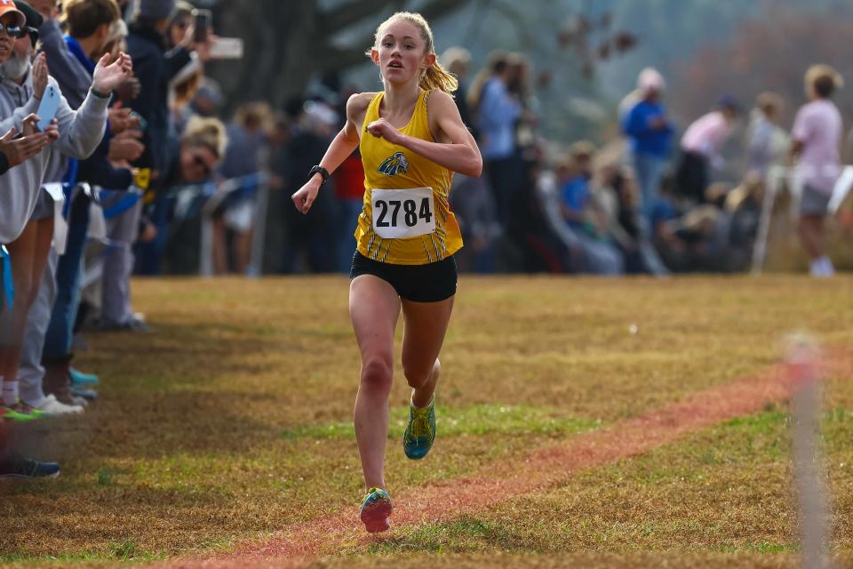 Indian River Brynn Crandell wins the girls division II race at the DIAA Cross Country Championships Saturday, Nov. 11, 2023; at Brandywine Creek State Park in Wilmington, DE.