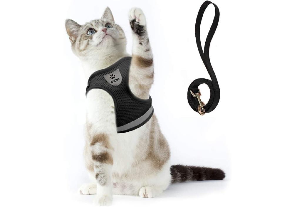 This cat harness is comfy and freeing for your furball. (Source: Amazon)

