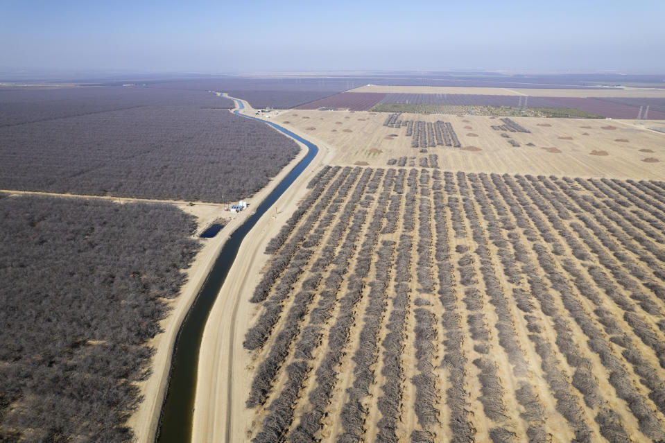 Image: An irrigation canal winds through almond orchards in Firebaugh, Calif. (John Brecher for NBC News)