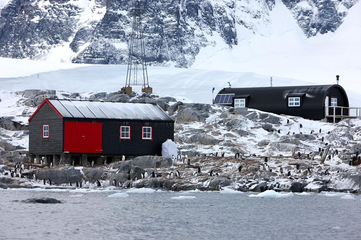 port lockroy british antarctic heritage trust station buildings including nissen hut accommodation on goudier island Antarctica