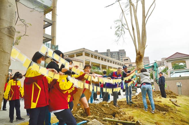 桃園光啟高中贈送龜山國中2棵鳳凰木、1棵黃椰子樹，龜山國中學生寫卡片和移植的樹木們打招呼，也期盼樹木移植順利、快快長大。（賴佑維攝）