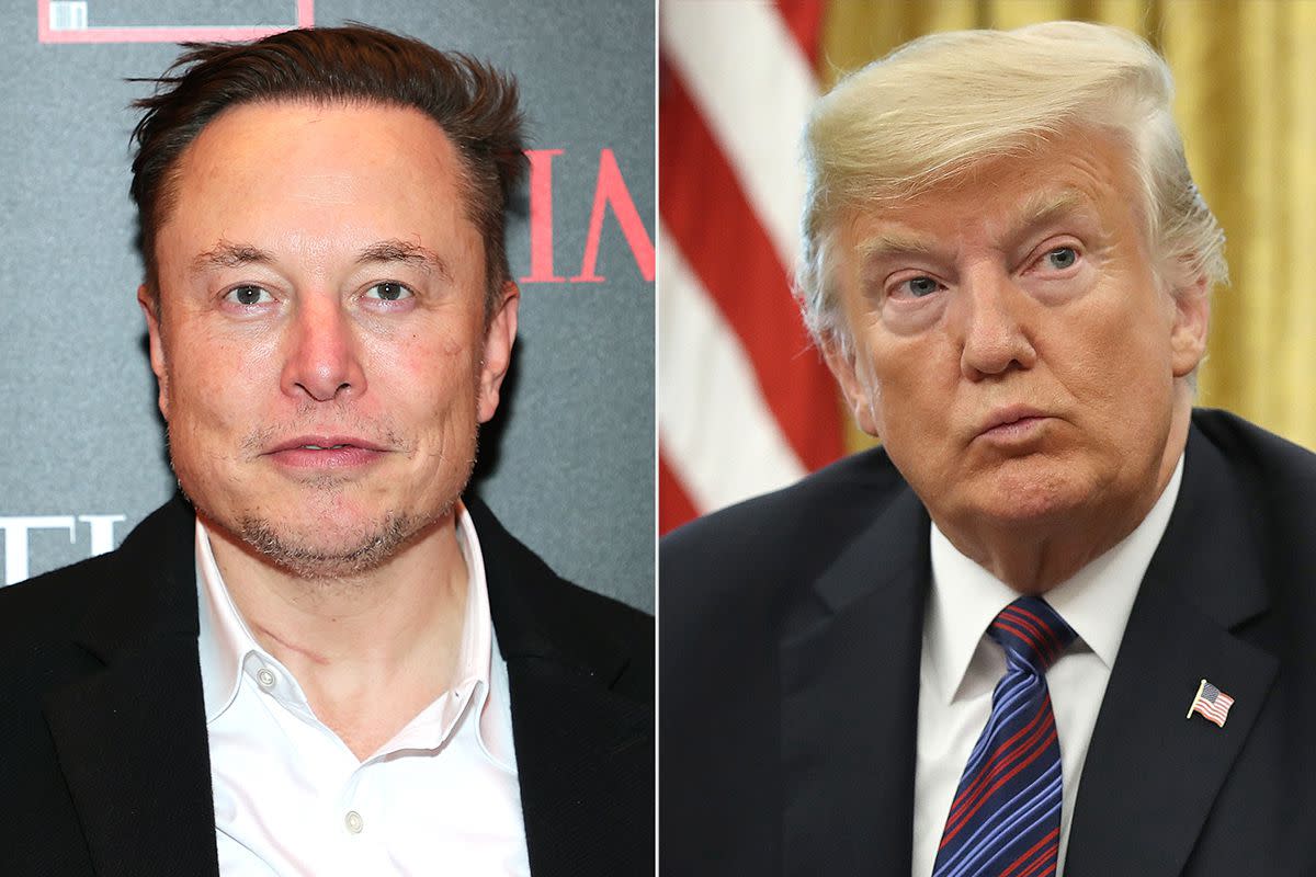 Elon Musk and Trump
