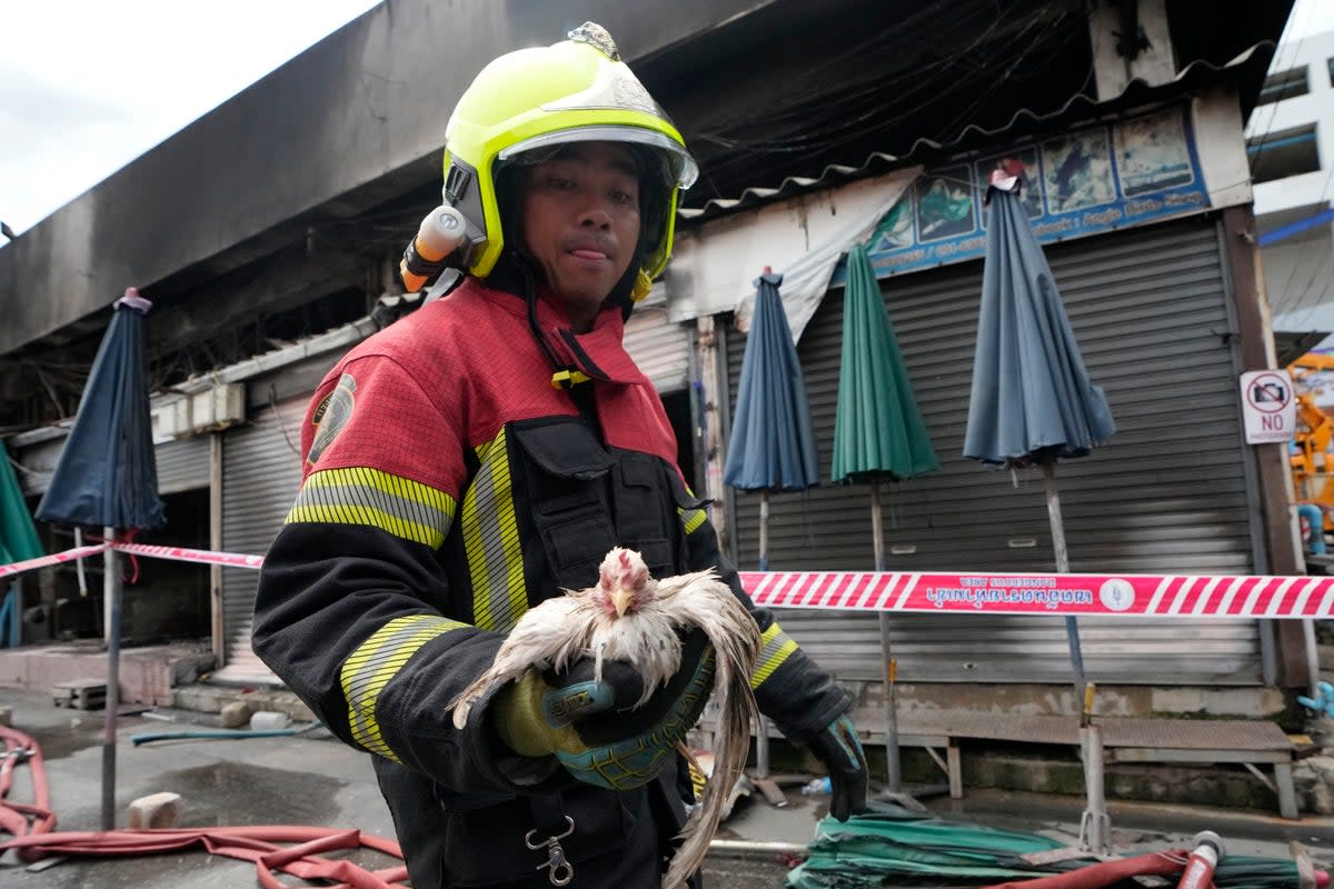 A Thai rescue worker carries a chicken that survived the fire at the Chatuchak weekend market in Bangkok (AP)