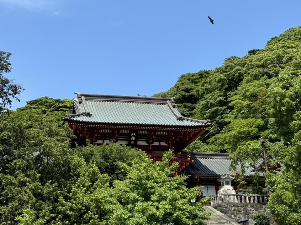 鎌倉一日遊