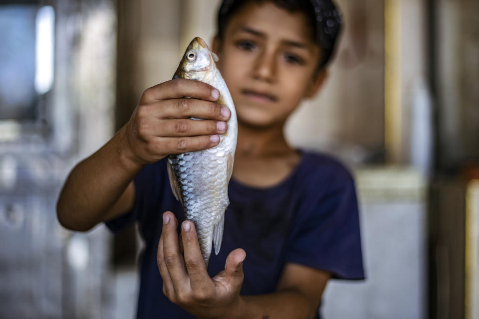 Junge hält Fisch in den Händen.