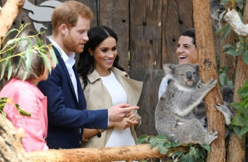 Prince Harry and his wife Meghan meet a koala named Ruby at Taronga Zoo