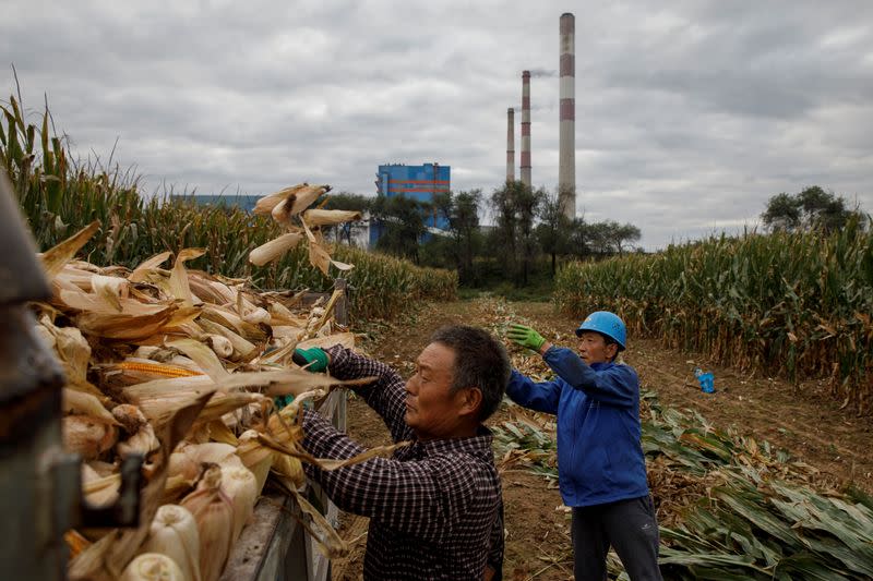 The Wider Image: Energy security and economic fears drive China's return to coal