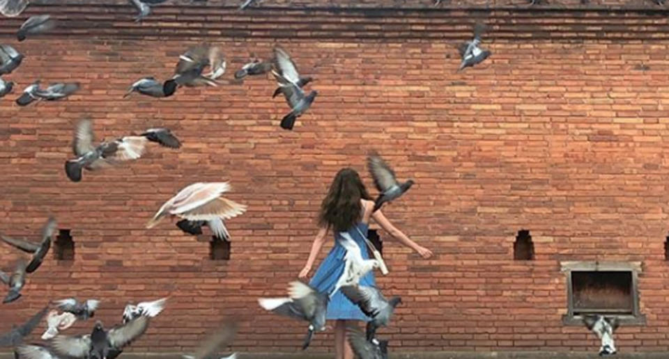 A woman stands at Chiang Mai's Tha Pae Gate in Thailand as pigeons fly past her. 