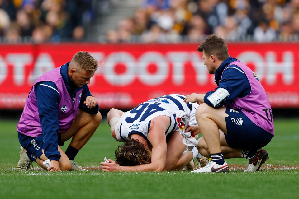 Seen here, Geelong's Mark Blicavs injured during the round four AFL clash against Hawthorn at the Melbourne Cricket Ground. 