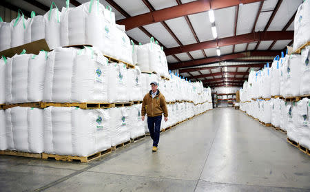 John Ziegler, plant manager at Peterson Farm Seed facility walks through a storage warehouse stacked with bulk tote bags of soybeans ready for shipment, in Fargo, North Dakota, U.S., December 6, 2017. Photo taken December 6, 2017. REUTERS/Dan Koeck