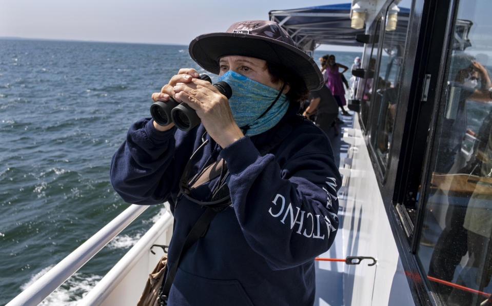 Naturalist Celia Ackerman surveys the surface of the water during a whale watching cruise Wednesday, Sept. 23, 2020, off the New York coastline. According to Paul Sieswerda, President and CEO of Gotham Whale, who has joined with the American Princess cruise vessel for a growing number of tours, sightings are up nearly a hundred fold from just a decade ago, with an abundance of menhaden seemingly driving the whale resurgence. (AP Photo/Craig Ruttle)