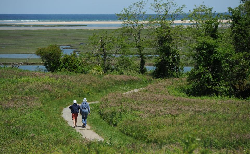 Heading out for a walk at the Fort Hill Trail in Eastham.
