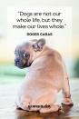 <p>“Dogs are not our whole life, but they make our lives whole.”</p>