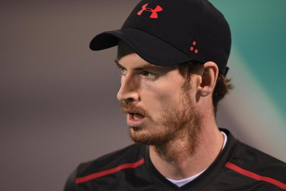 Returning: Fellow Brit Murray is set to make his comeback at Queen's (Getty Images)