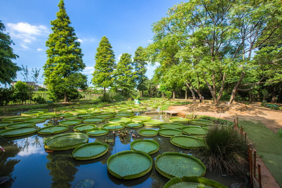 蓮荷園（圖片來源：桃園觀光導覽網）