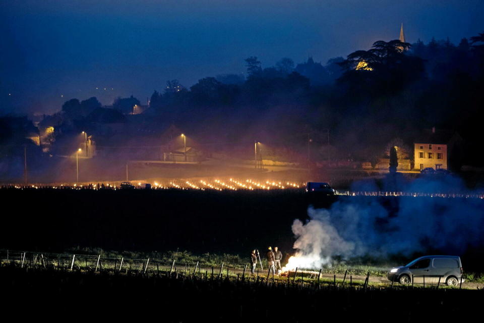 Ce lundi, vignerons et producteurs de fruits ont travaillé toute la nuit pour lutter contre le gel. (Photo d'illustration)  - Credit:ETIENNE RAMOUSSE/ZEPPELIN/SIPA  