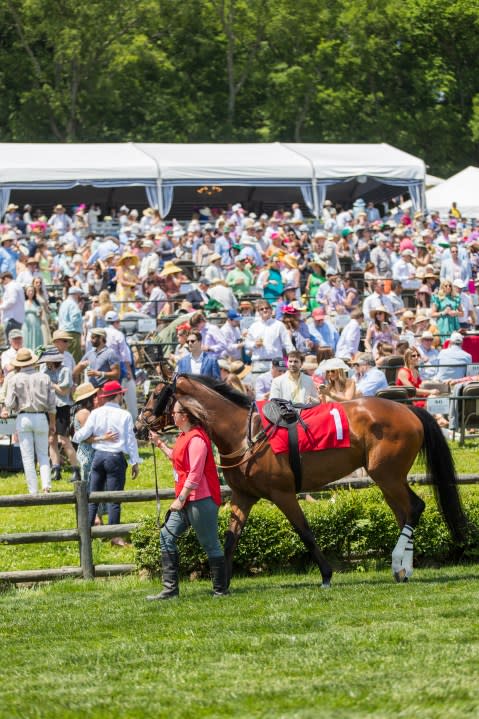 (Courtesy: Iroquois Steeplechase)