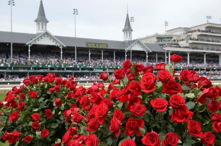 May 7, 2016; Louisville, KY, USA; General view of roses and the twin spires before the 142nd running of the Kentucky Derby at Churchill Downs. Jamie Rhodes-USA TODAY Sports