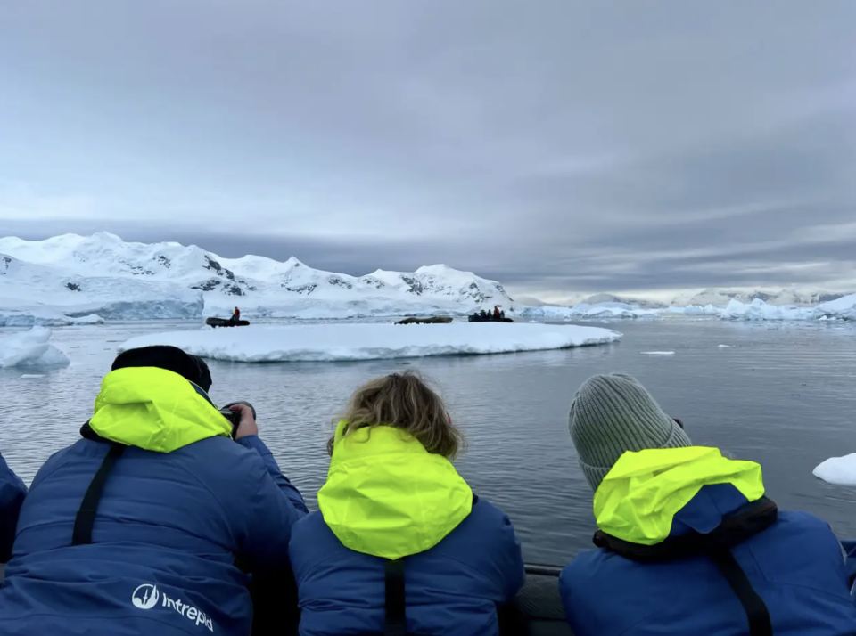 Während der Expedition können Passagiere Seehunde bestaunen. - Copyright: Taylor Rains / Business Insider