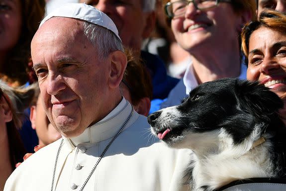 This dog is cheekily sticking his tongue out without the Pope noticing.