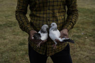 A Kashmiri pigeon handler waits for customers at an open pigeon market in Srinagar, Indian controlled Kashmir, June 10, 2022. The centuries-old tradition of pigeon keeping has remained ingrained to life in the old quarters of Srinagar where flocks of pigeons on rooftops, in the courtyards of mosques and shrines and around marketplaces are a common sight. Many of these are domesticated, raised by one of the thousands of pigeon keepers there. (AP Photo/Mukhtar Khan)